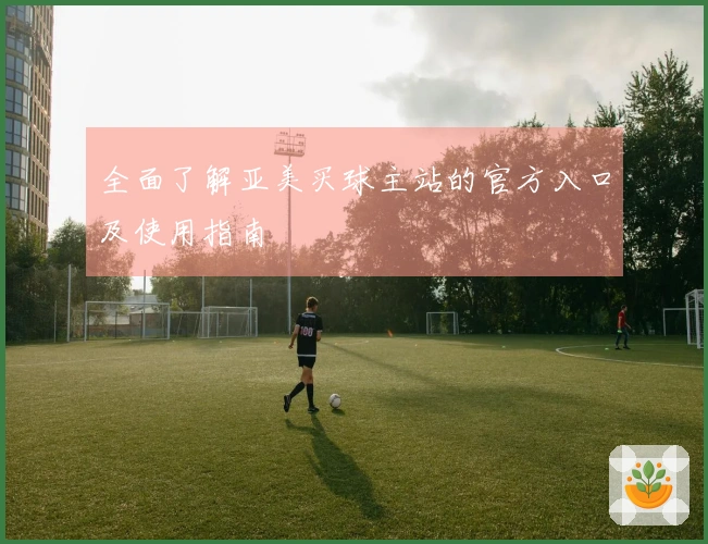 全面了解亚美买球主站的官方入口及使用指南