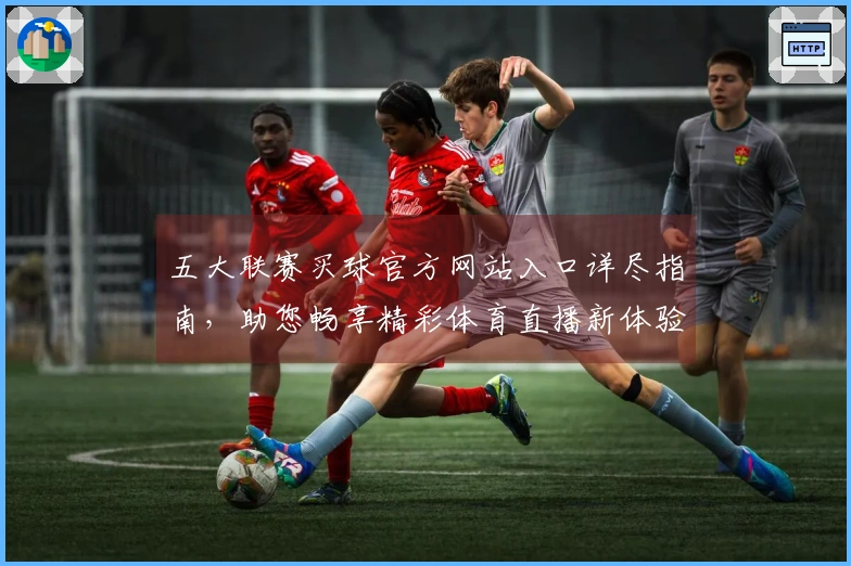 五大联赛买球官方网站入口详尽指南，助您畅享精彩体育直播新体验
