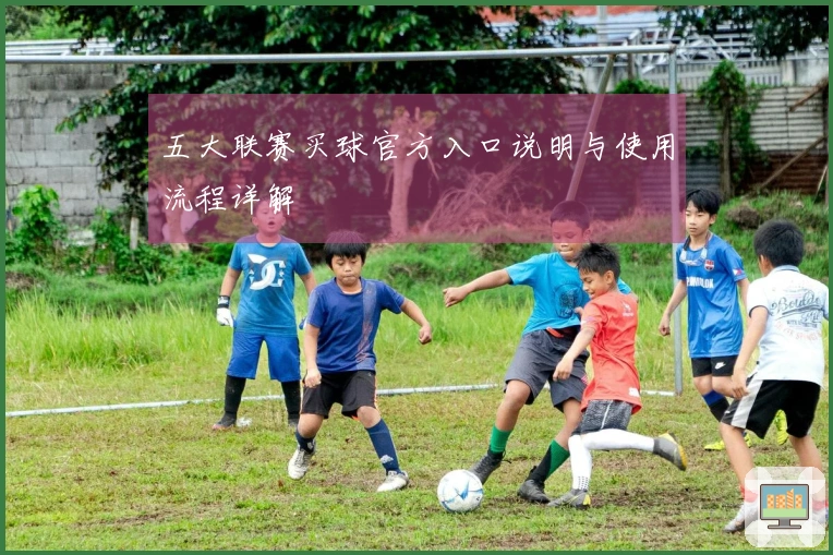 五大联赛买球官方入口说明与使用流程详解
