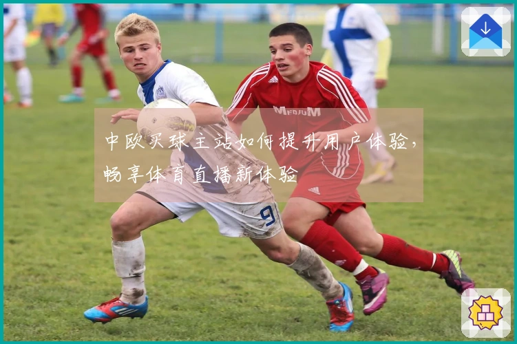 中欧买球主站如何提升用户体验，畅享体育直播新体验