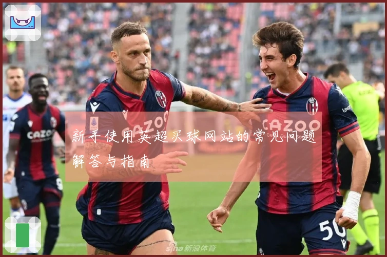 新手使用英超买球网站的常见问题解答与指南