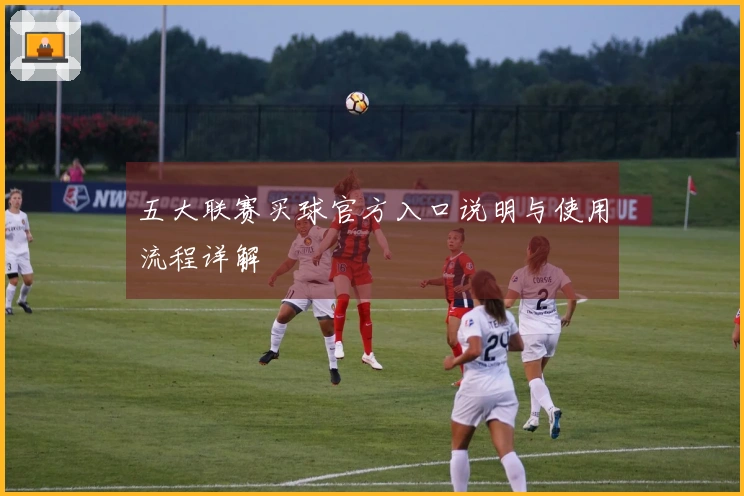五大联赛买球官方入口说明与使用流程详解