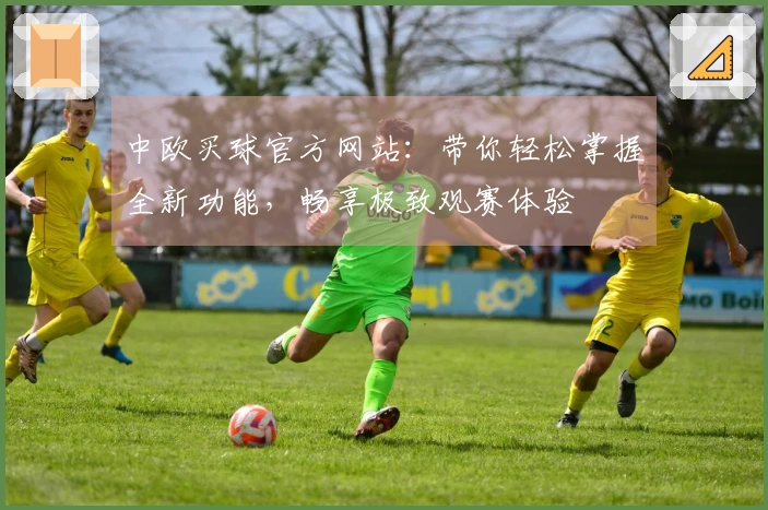中欧买球官方网站：带你轻松掌握全新功能，畅享极致观赛体验