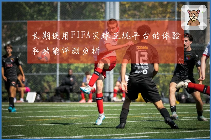 长期使用FIFA买球正规平台的体验和功能评测分析
