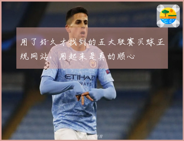 用了好久才找到的五大联赛买球正规网站，用起来是真的顺心