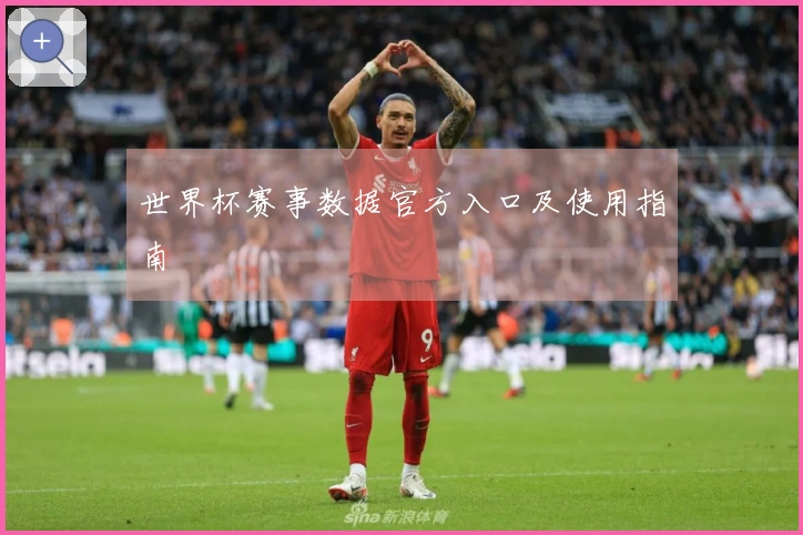 世界杯赛事数据官方入口及使用指南
