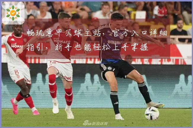 畅玩意甲买球主站，官方入口详细指引，新手也能轻松上手掌握