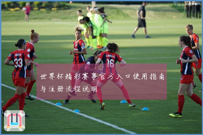 世界杯精彩赛事官方入口使用指南与注册流程说明