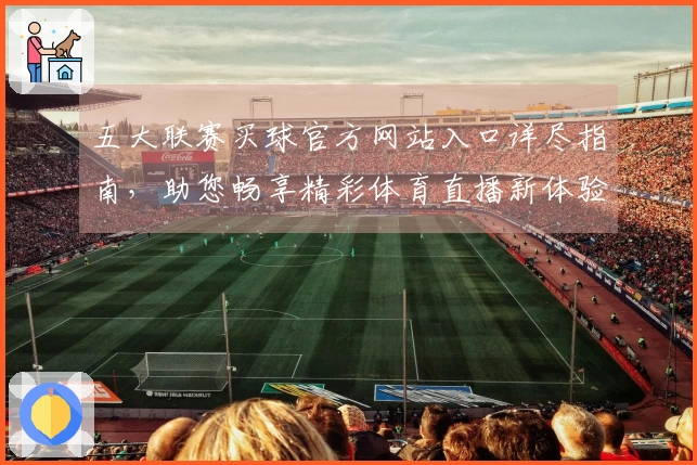 五大联赛买球官方网站入口详尽指南，助您畅享精彩体育直播新体验